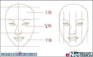 漫画的辅助线,揭秘创作背后的技巧与灵感