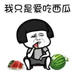 娱乐圈吃瓜动画片