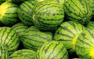 吃瓜网每日大赛聚集地,每日大赛聚集地,精彩赛事一网打尽!